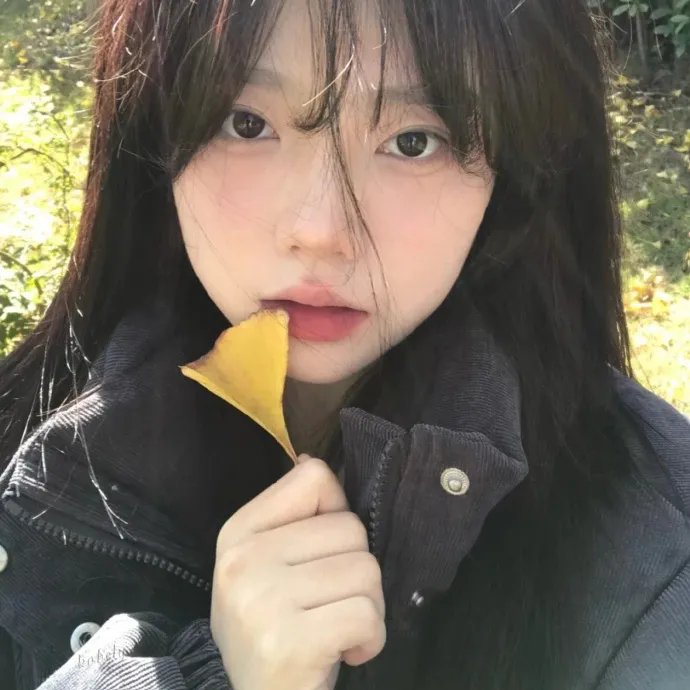 向往的生活老友记