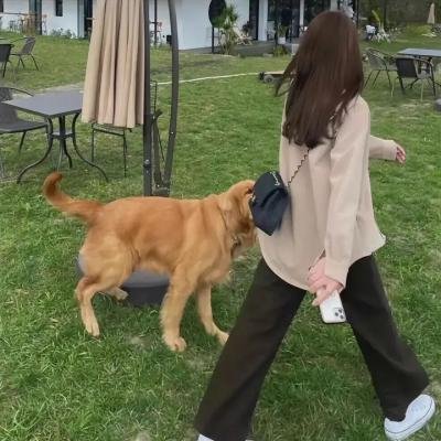 我们的歌第六季